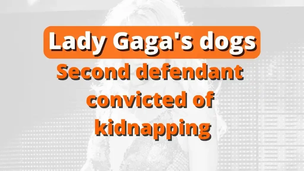 Lady Gaga's dogs